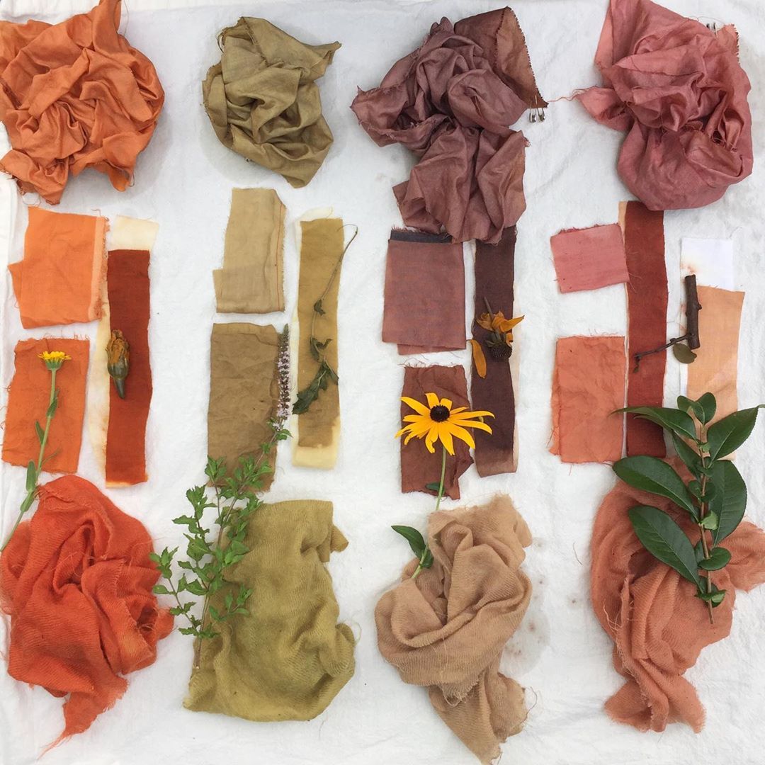 Sustainability Series: Why Use Natural Dyes?